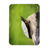 Magnet Flexible Tortue peinte sur un bûcher (Vertical)