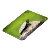 Magnet Flexible Tortue peinte sur un bûcher (Côté Gauche)