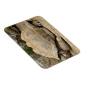Magnet Flexible Tortue souriante (Côté Droit)