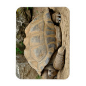 Magnet Flexible Tortue souriante (Vertical)