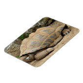 Magnet Flexible Tortue souriante (Côté Gauche)