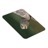 Magnet Flexible Tortue sur La Chute (Côté Droit)