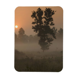 Magnet Flexible Tôt le matin, lever de soleil et brouillard au sol