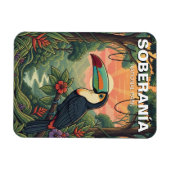 Magnet Flexible Toucan dans le Parc national de Soberania Panama (Horizontal)