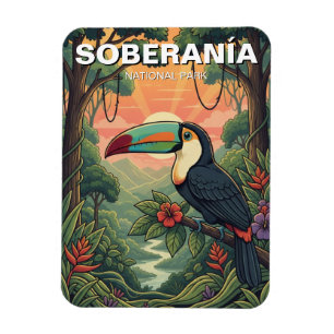 Magnet Flexible Toucan dans le Parc national de Soberania Panama