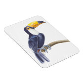 Magnet Flexible Toucan, oiseau tropical (Côté Droit)