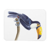 Magnet Flexible Toucan, oiseau tropical (Horizontal)