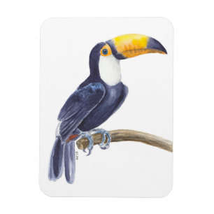 Magnet Flexible Toucan, oiseau tropical