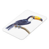 Magnet Flexible Toucan, oiseau tropical (Côté Gauche)