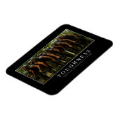 Magnet Flexible Touche : Citation Inspirationnelle 2 (Côté Gauche)