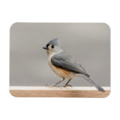 Magnet Flexible Touffé (Horizontal)