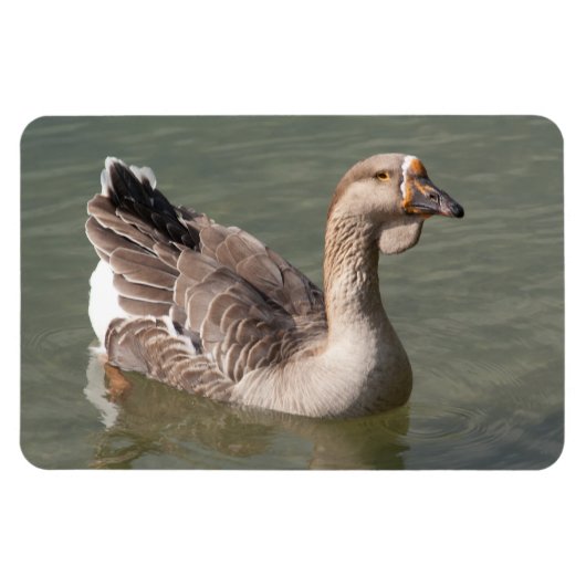 Magnet Flexible Toulouse Goose (Horizontal)