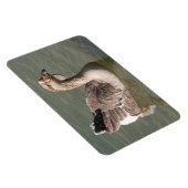 Magnet Flexible Toulouse Goose (Côté Droit)