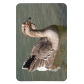 Magnet Flexible Toulouse Goose (Vertical)