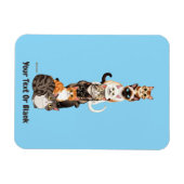 Magnet Flexible Tour Feline Cat-Er-Pillar (Horizontal)