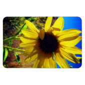 Magnet Flexible Tournesol (Horizontal)