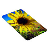 Magnet Flexible Tournesol (Côté Droit)