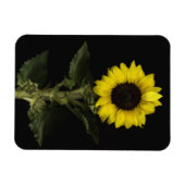 Magnet Flexible Tournesol 11 (Horizontal)