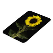 Magnet Flexible Tournesol 11 (Côté Gauche)