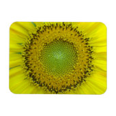 Magnet Flexible Tournesol jaune (Horizontal)
