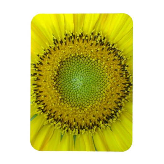 Magnet Flexible Tournesol jaune (Vertical)