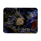 MAGNET FLEXIBLE TOURNESOLS (Horizontal)