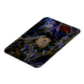 MAGNET FLEXIBLE TOURNESOLS (Côté Gauche)