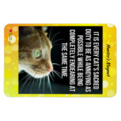 Magnet Flexible Tous les chats (Horizontal)