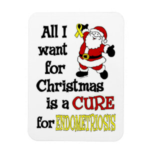 Magnet Flexible Tout Ce Que Je Veux Pour Noël...Endometriose