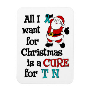 Magnet Flexible Tout ce que je veux pour Noël...TN
