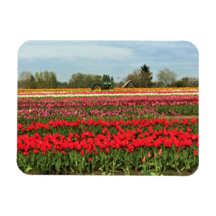 Magnet Flexible Tracteur vert en Tulip Field, Oregon