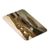 Magnet Flexible Train over James (Côté Droit)