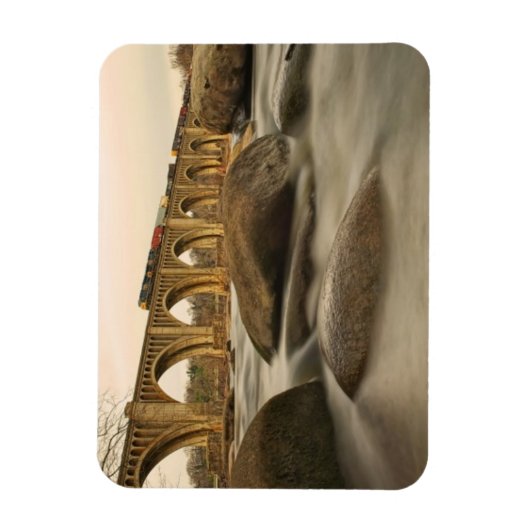 Magnet Flexible Train over James (Vertical)