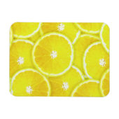 Magnet Flexible Tranches de citron (Horizontal)