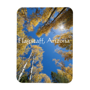 Magnet Flexible Tranquillité et sérénité Aspen trees, Flagstaf
