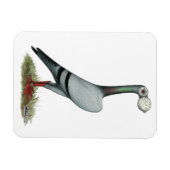 Magnet Flexible Transporteur Pigeon 2012 (Horizontal)