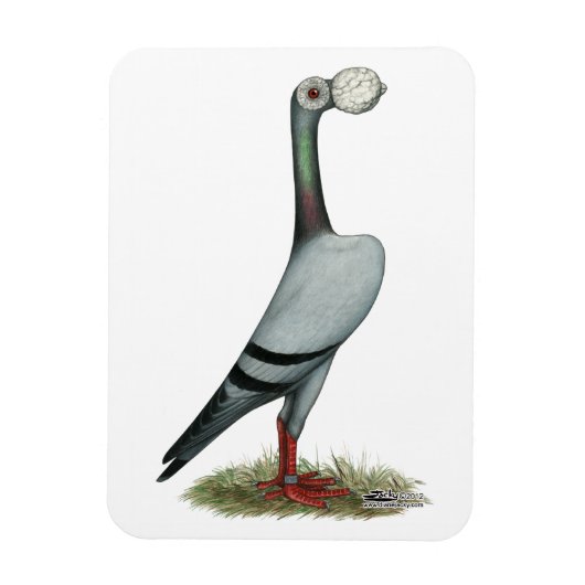 Magnet Flexible Transporteur Pigeon 2012 (Vertical)