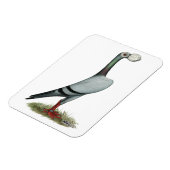 Magnet Flexible Transporteur Pigeon 2012 (Côté Gauche)