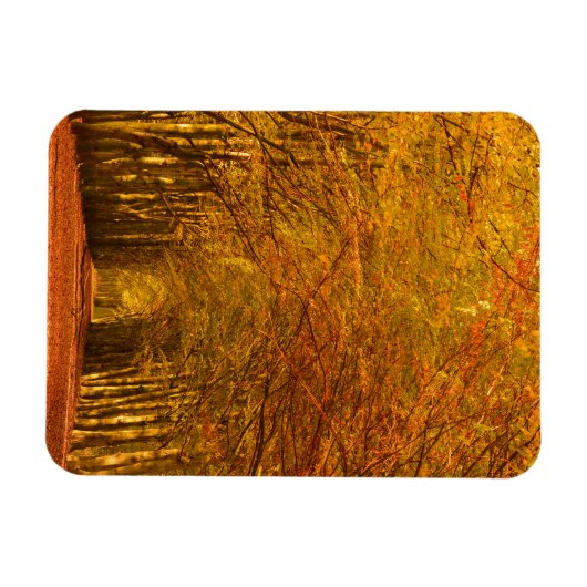 Magnet Flexible Traverser la forêt en automne aimant vertical (Horizontal)