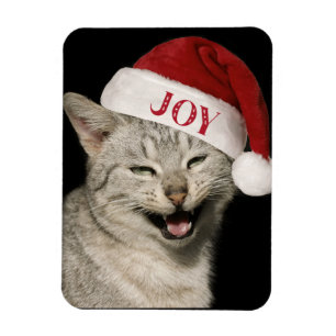 Magnet Flexible Très drôle Père Noël Chat Rire Photo Noël