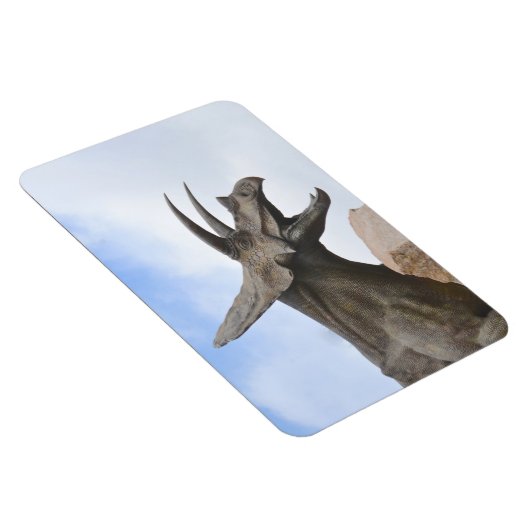 Magnet Flexible Tricératops Dinosaur (Côté Droit)