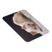 Magnet Flexible Trident l'aimant de chat (Côté Droit)