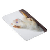 Magnet Flexible Trident l'aimant de chat 02 (Côté Droit)