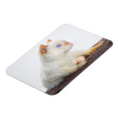 Magnet Flexible Trident l'aimant de chat 02 (Côté Gauche)