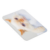 Magnet Flexible Trident l'aimant de chat 03 (Côté Droit)