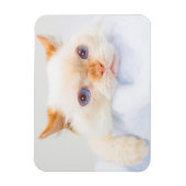 Magnet Flexible Trident l'aimant de chat 03 (Vertical)