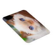 Magnet Flexible Trident l'aimant de chat 04 (Côté Droit)