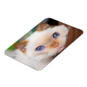 Magnet Flexible Trident l'aimant de chat 04 (Côté Gauche)