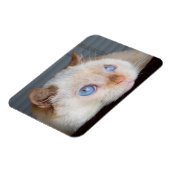 Magnet Flexible Trident l'aimant de chat 06 (Côté Gauche)