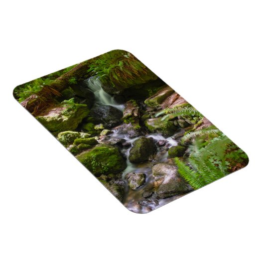 Magnet Flexible Trillium Falls Redwood National Park Californie (Côté Droit)